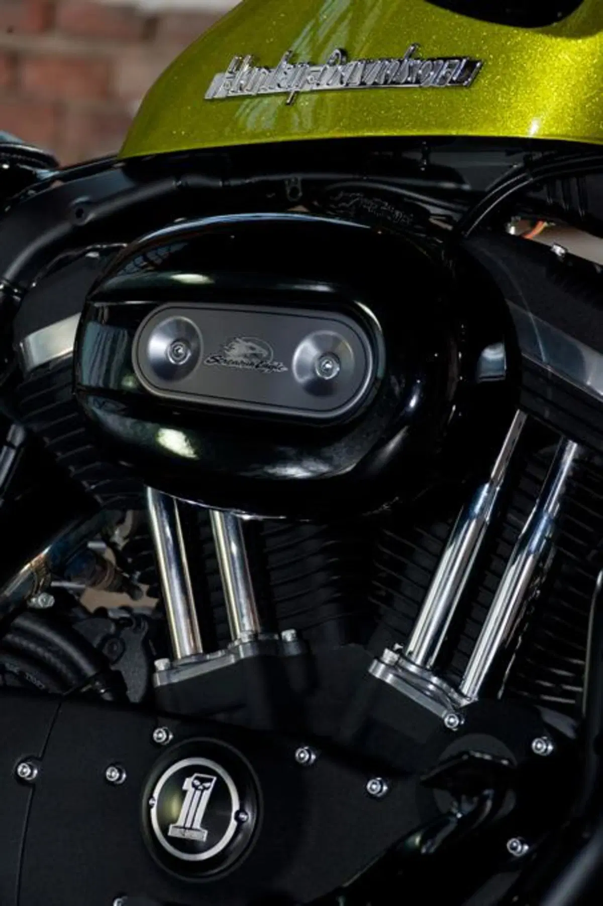 Harley-Davidson. Sei moto speciali per presentare la linea accessori 2011 (60)