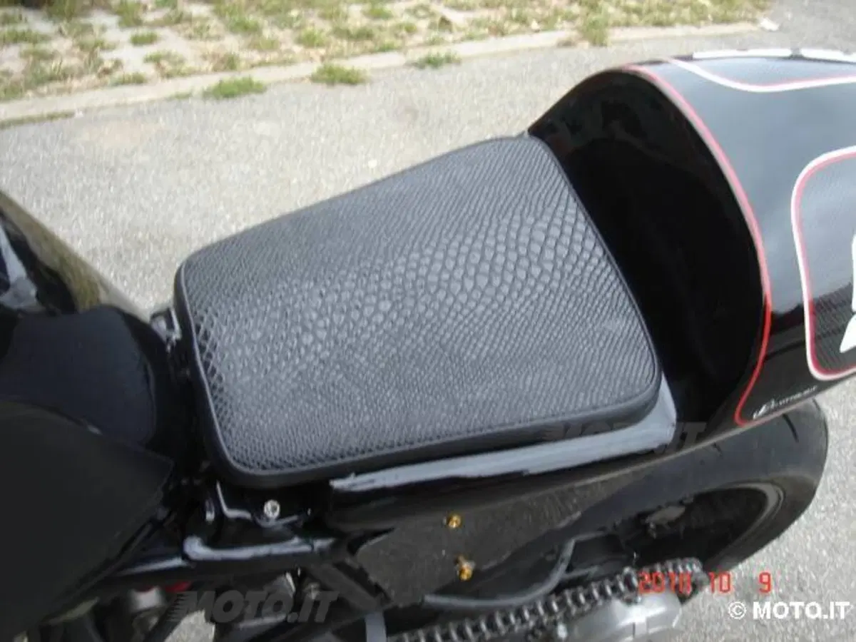 Le Strane di Moto.it: Honda CBR 600 F Special