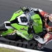 Rolfo e la Kawasaki ZX-10R si son ben comportati a Phillip Island