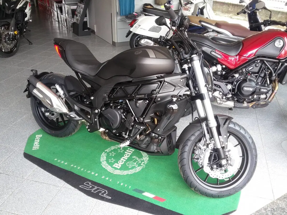 Benelli 502 C (2021 - 25)
