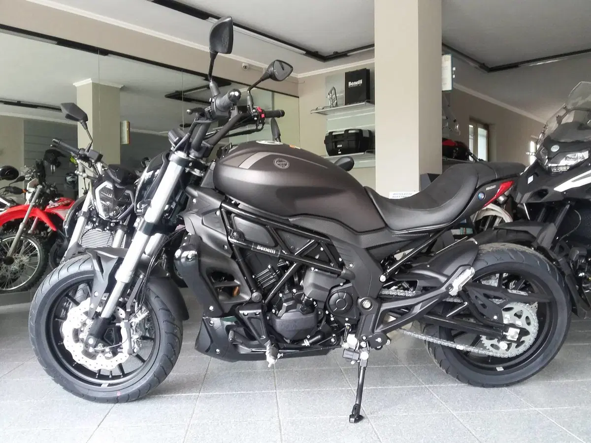 Benelli 502 C (2021 - 25) (2)