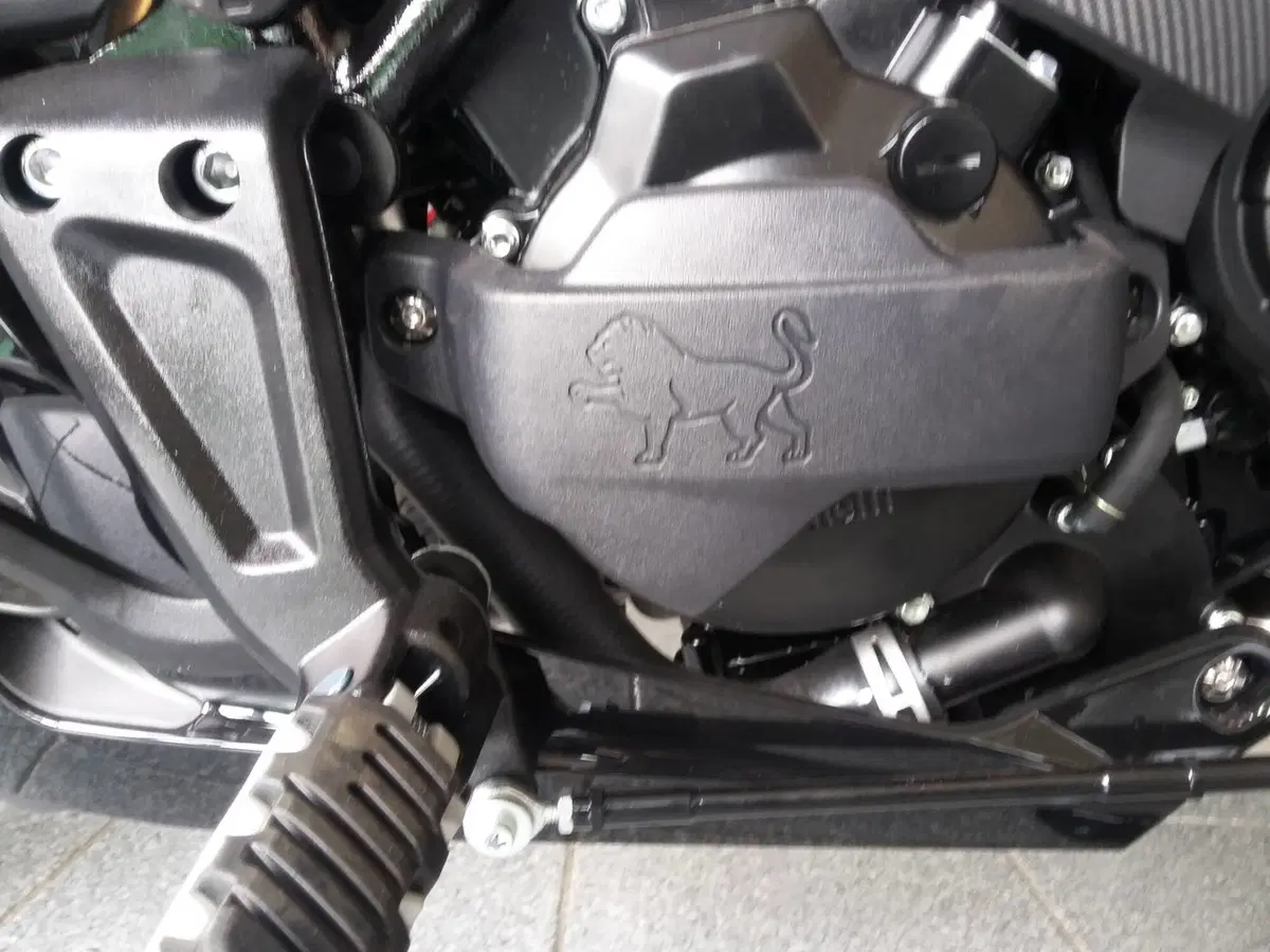 Benelli 502 C (2021 - 25) (6)