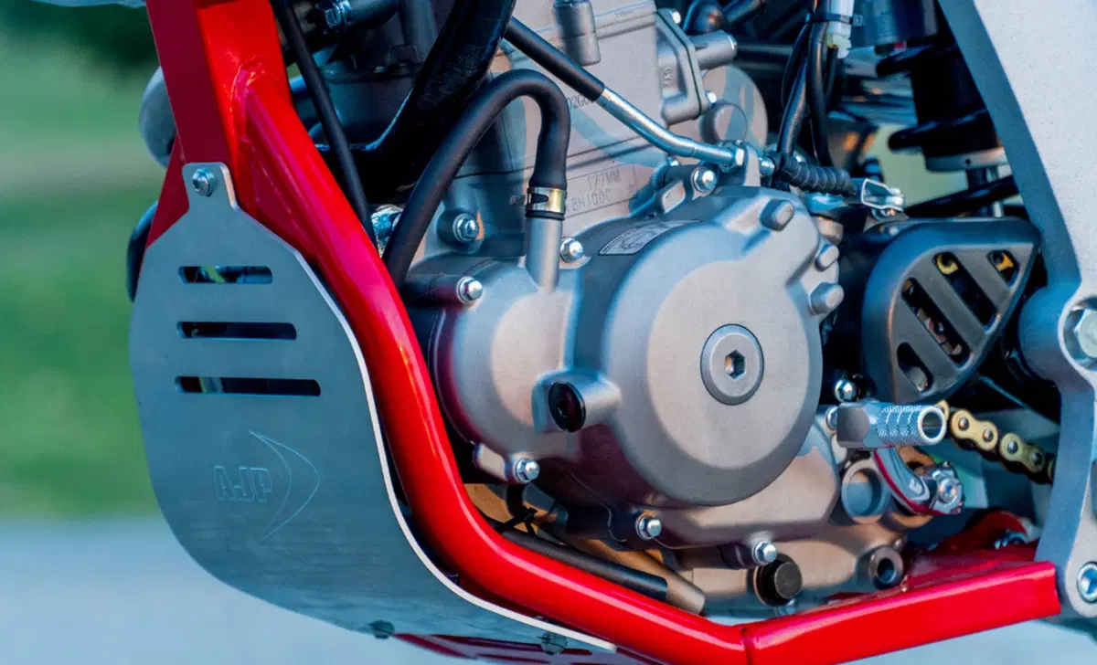 AJP PR5 250 Supermoto PR5 250 Supermoto (2019 - 20) (5)