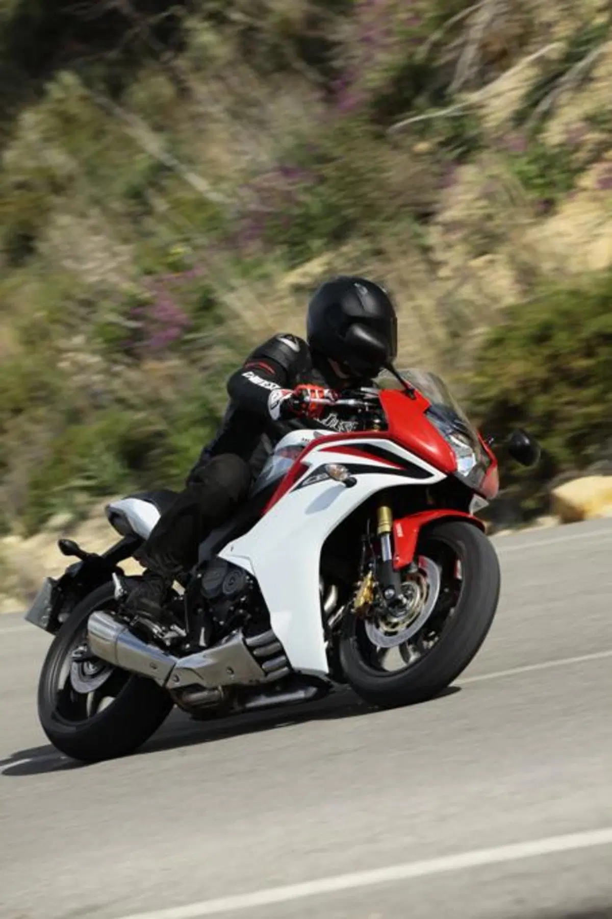 Honda CBR 600F    (14)