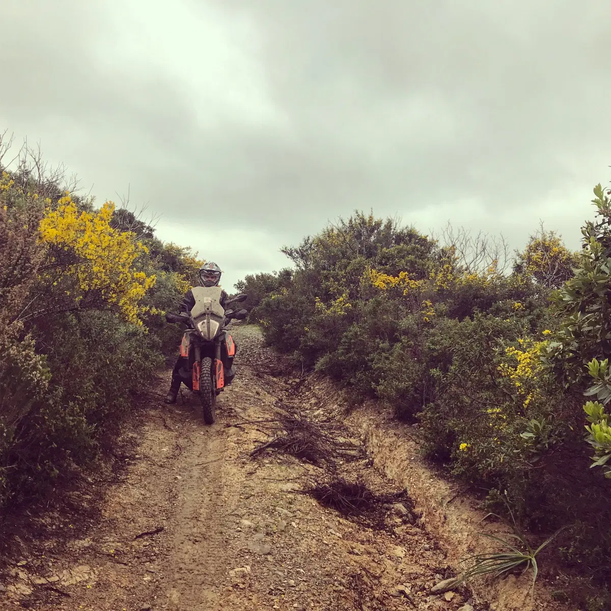 Al Sardinia Adventouring con le KTM 790 Adventure: Buona la prima (16)