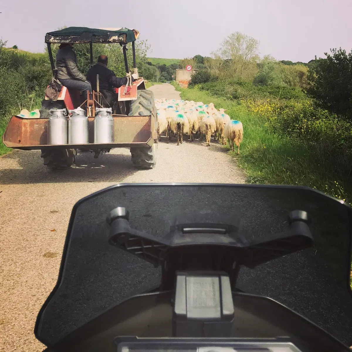 Al Sardinia Adventouring con le KTM 790 Adventure: Buona la prima (7)