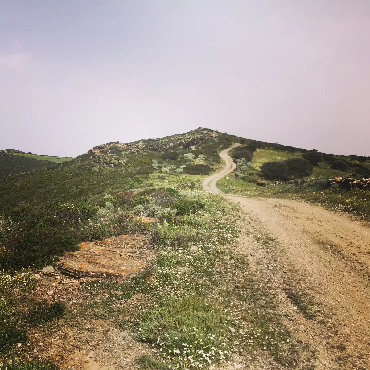 Al Sardinia Adventouring con le KTM 790 Adventure: Buona la prima (10)