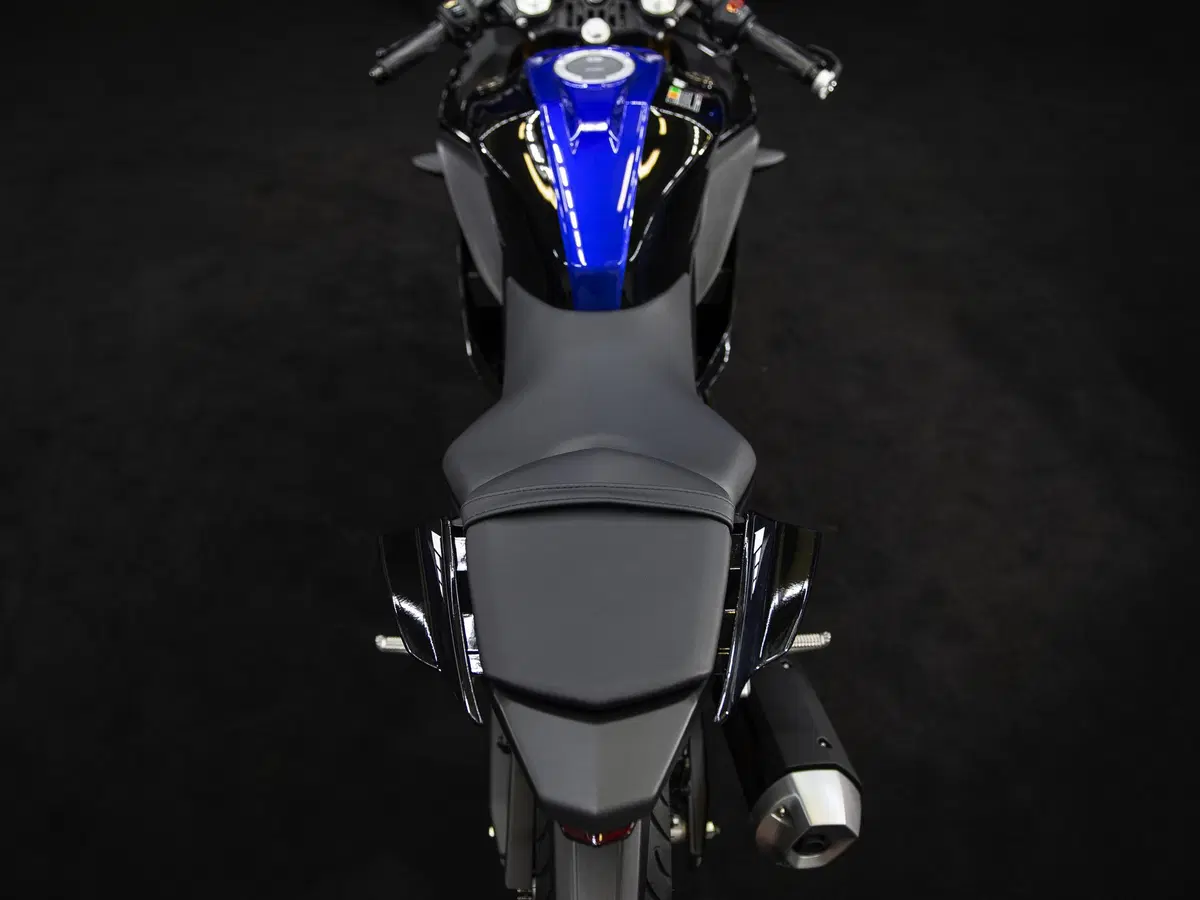 Yamaha YZF-R125 Monster Energy 2019: MotoGP replica (10)