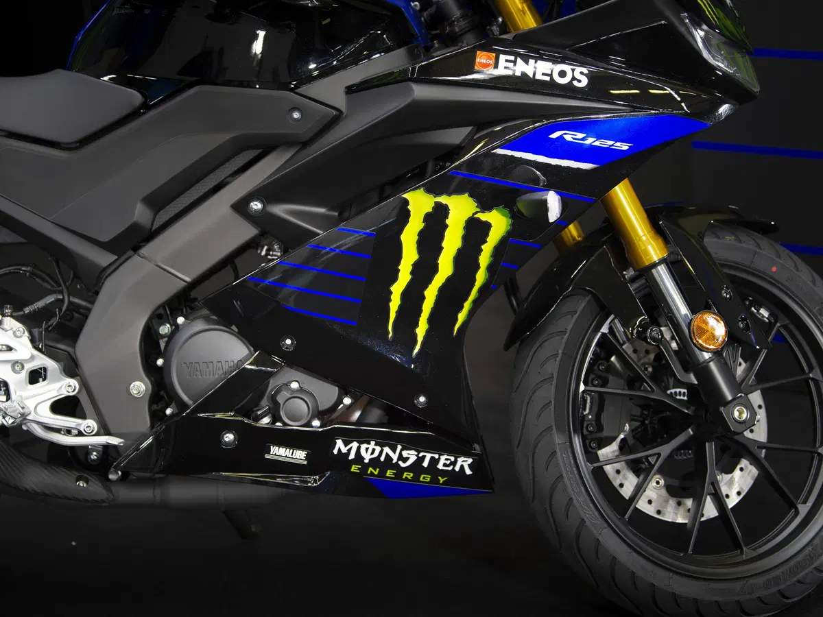 Yamaha YZF-R125 Monster Energy 2019: MotoGP replica (13)