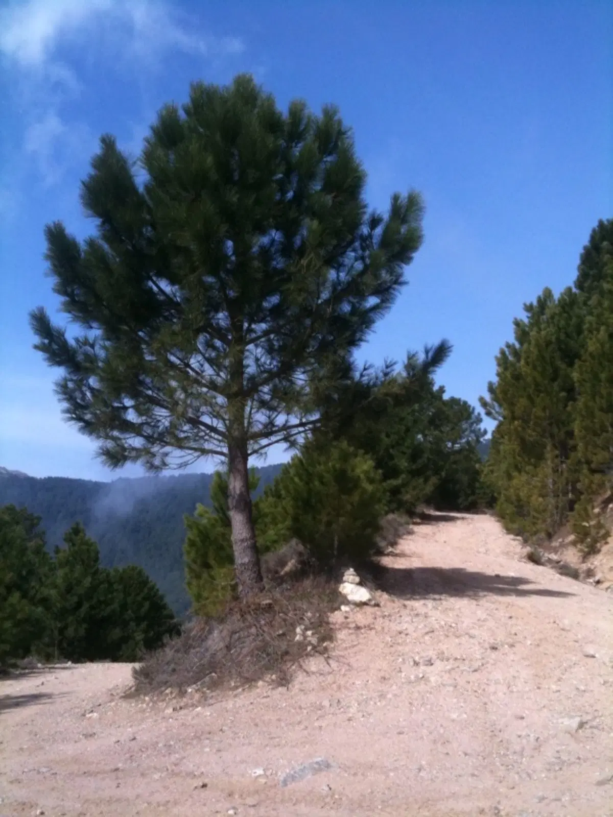 Scouting in Corsica (2)