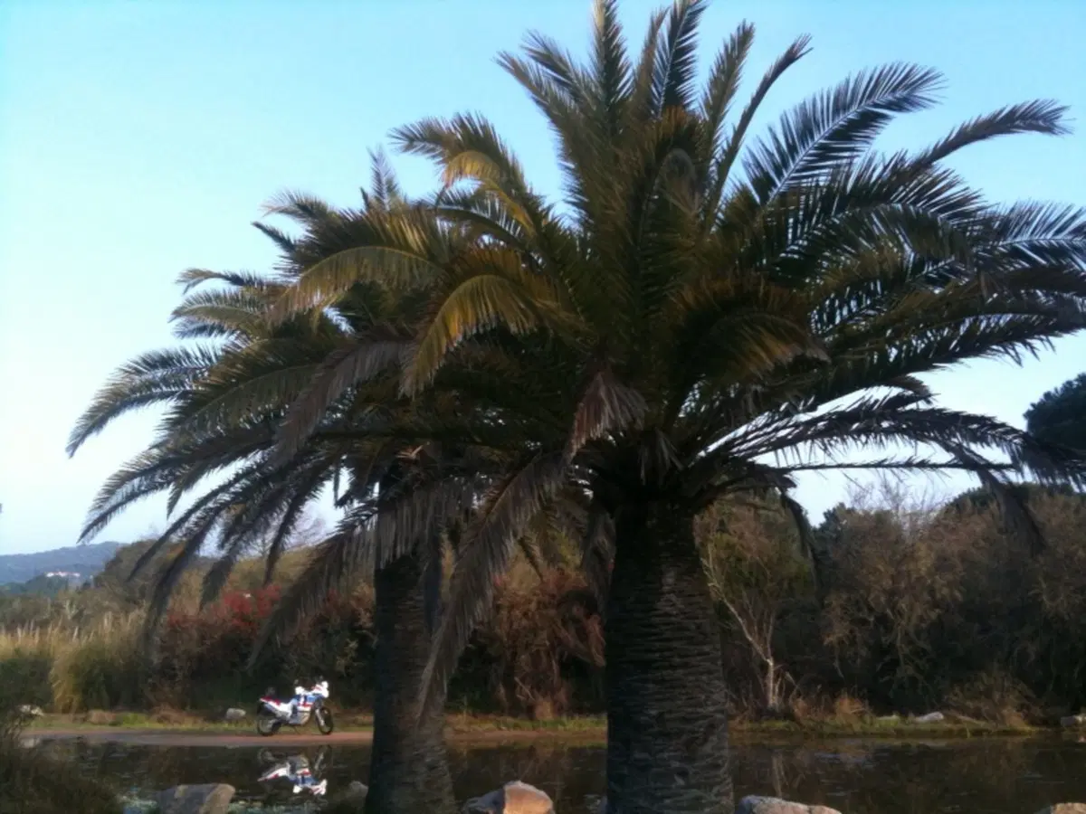 Scouting in Corsica (3)