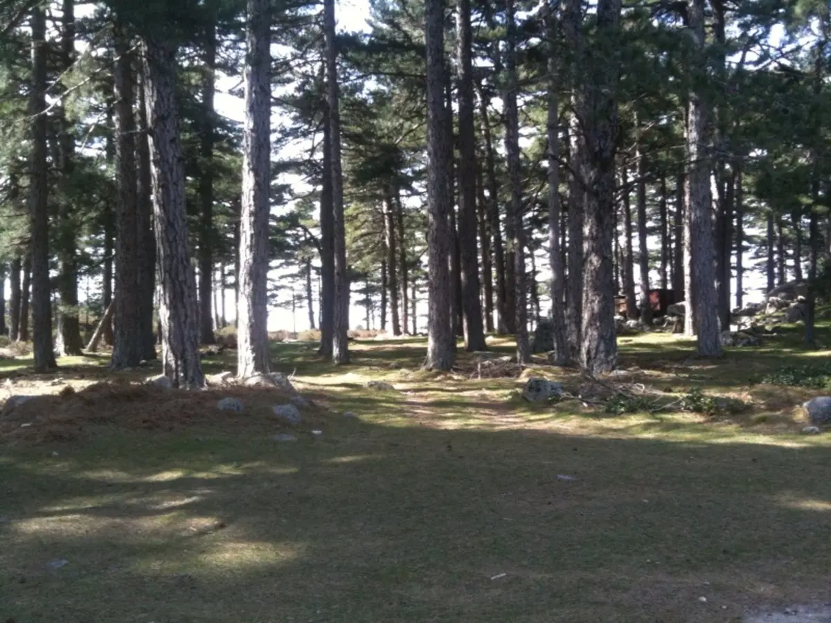 Scouting in Corsica (11)
