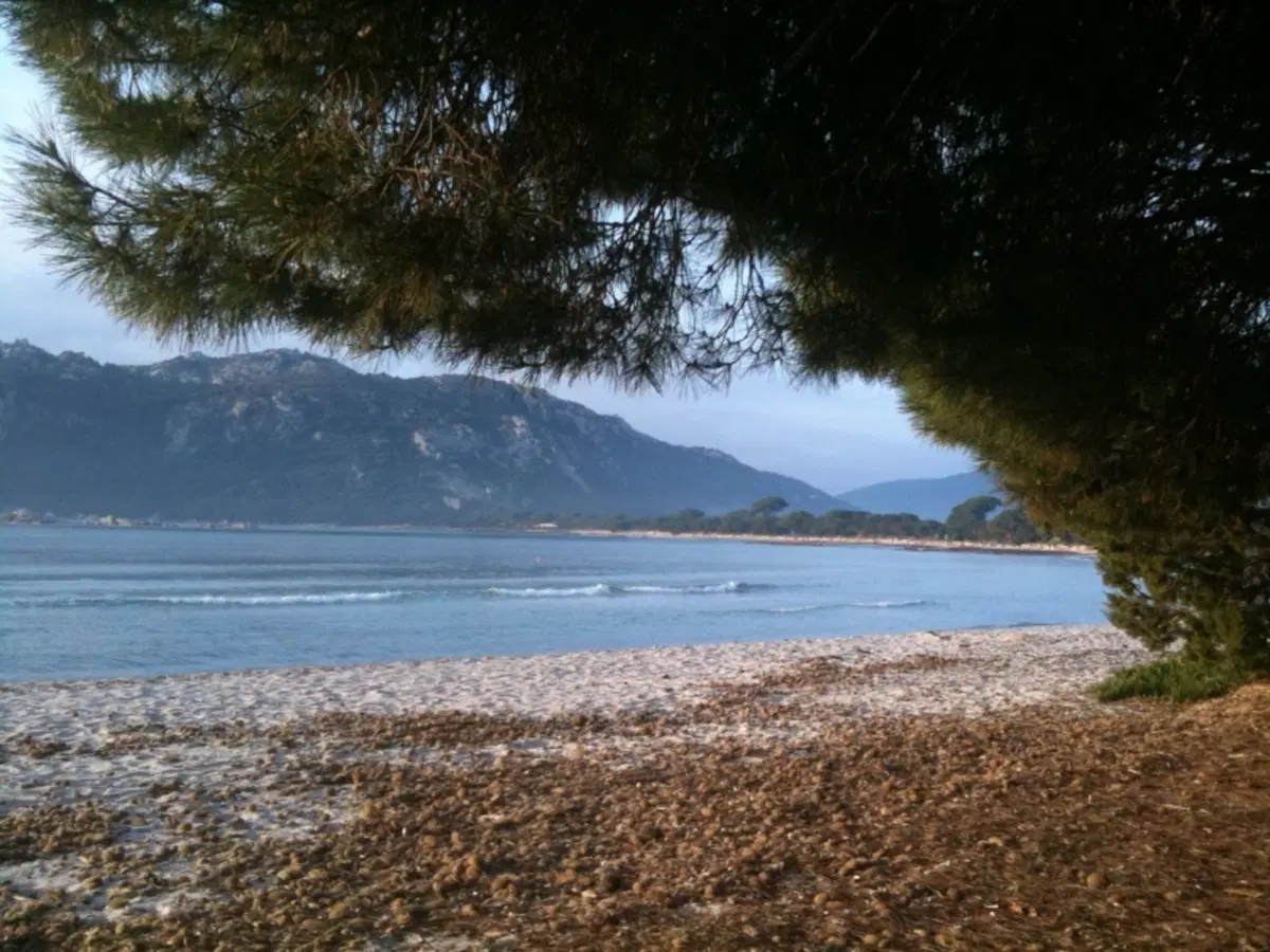 Scouting in Corsica (12)