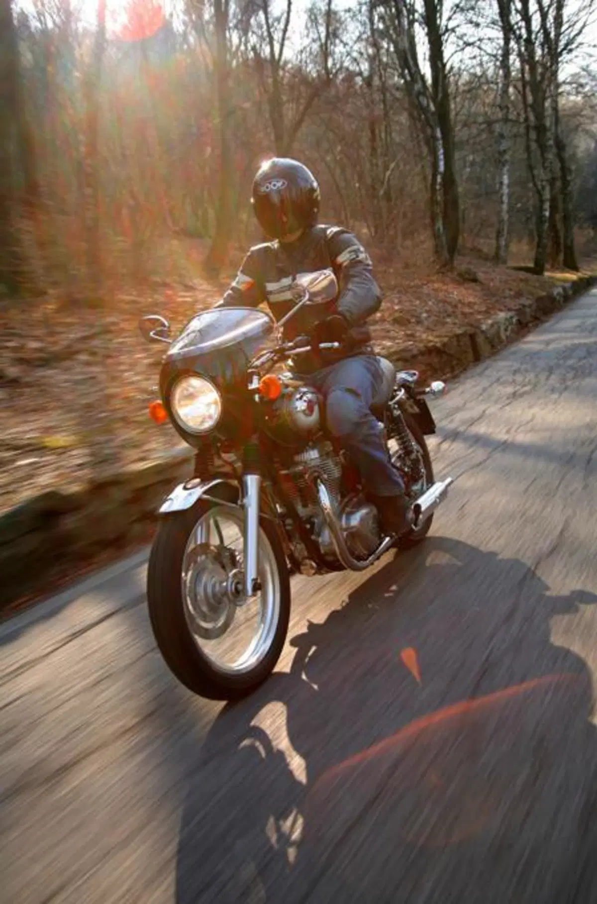 Kawasaki W800  (5)