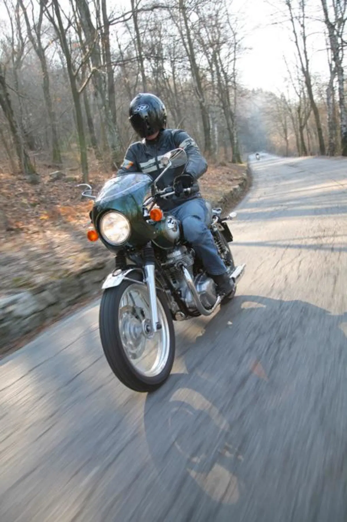 Kawasaki W800  (17)