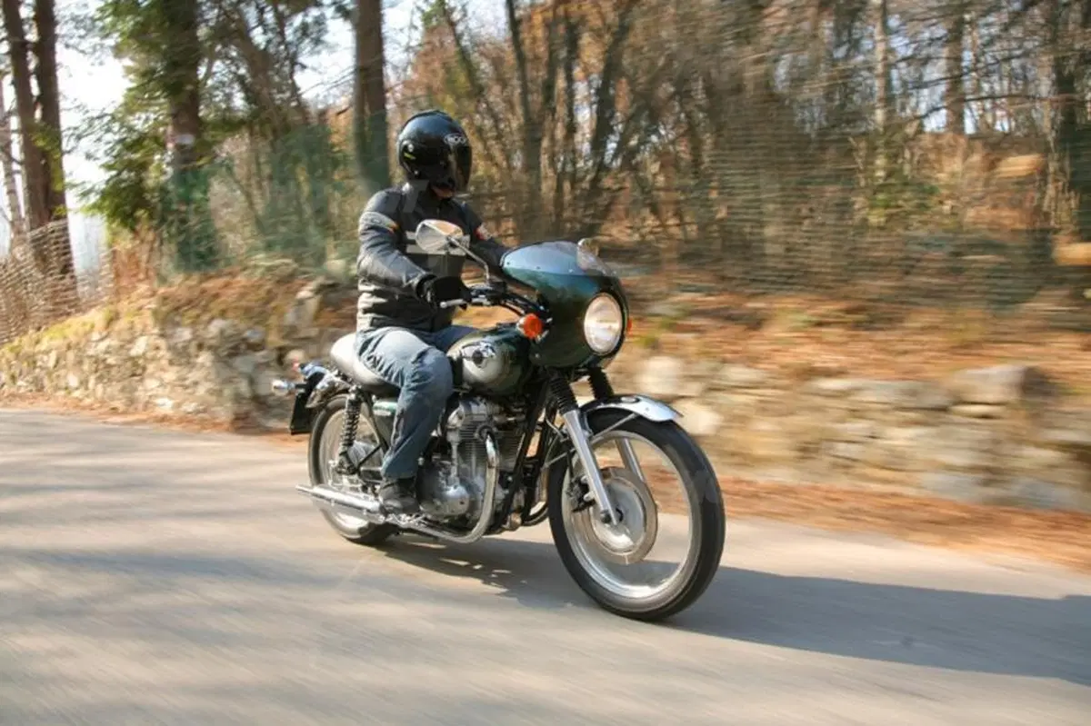 Kawasaki W800  (20)