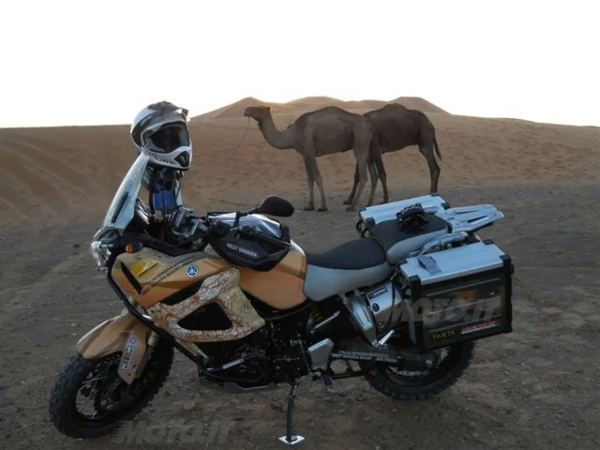 Africa: Marocco orientale, Algeria, West sahara, Mauritania (3)