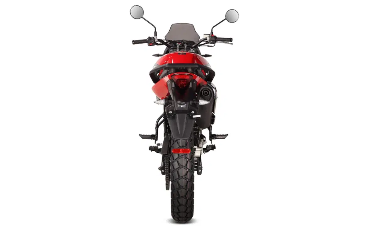 Malaguti Dune 125 Dune 125 (2019 - 20) (6)