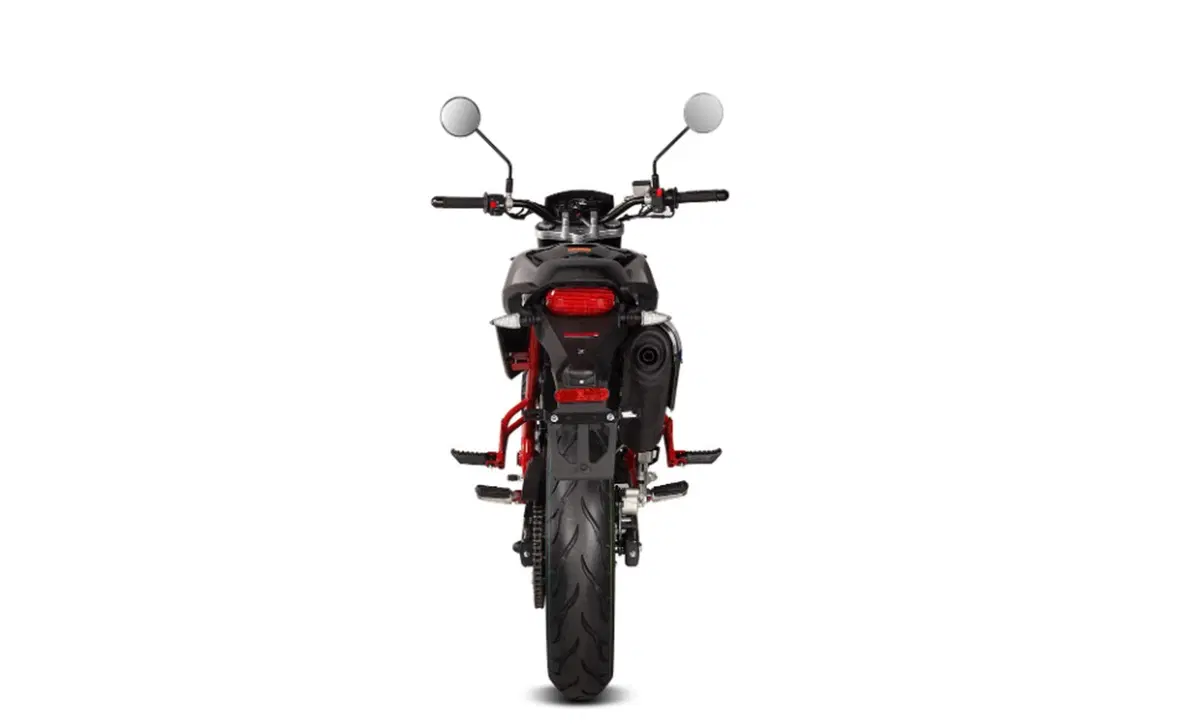 Malaguti Monte Pro 125 Monte Pro 125 (2019 - 20) (4)