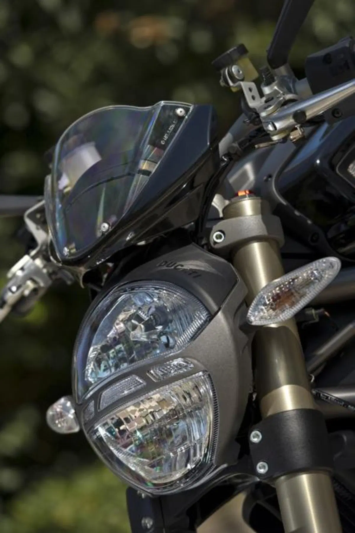 Ducati Monster 1100 Evo   (47)