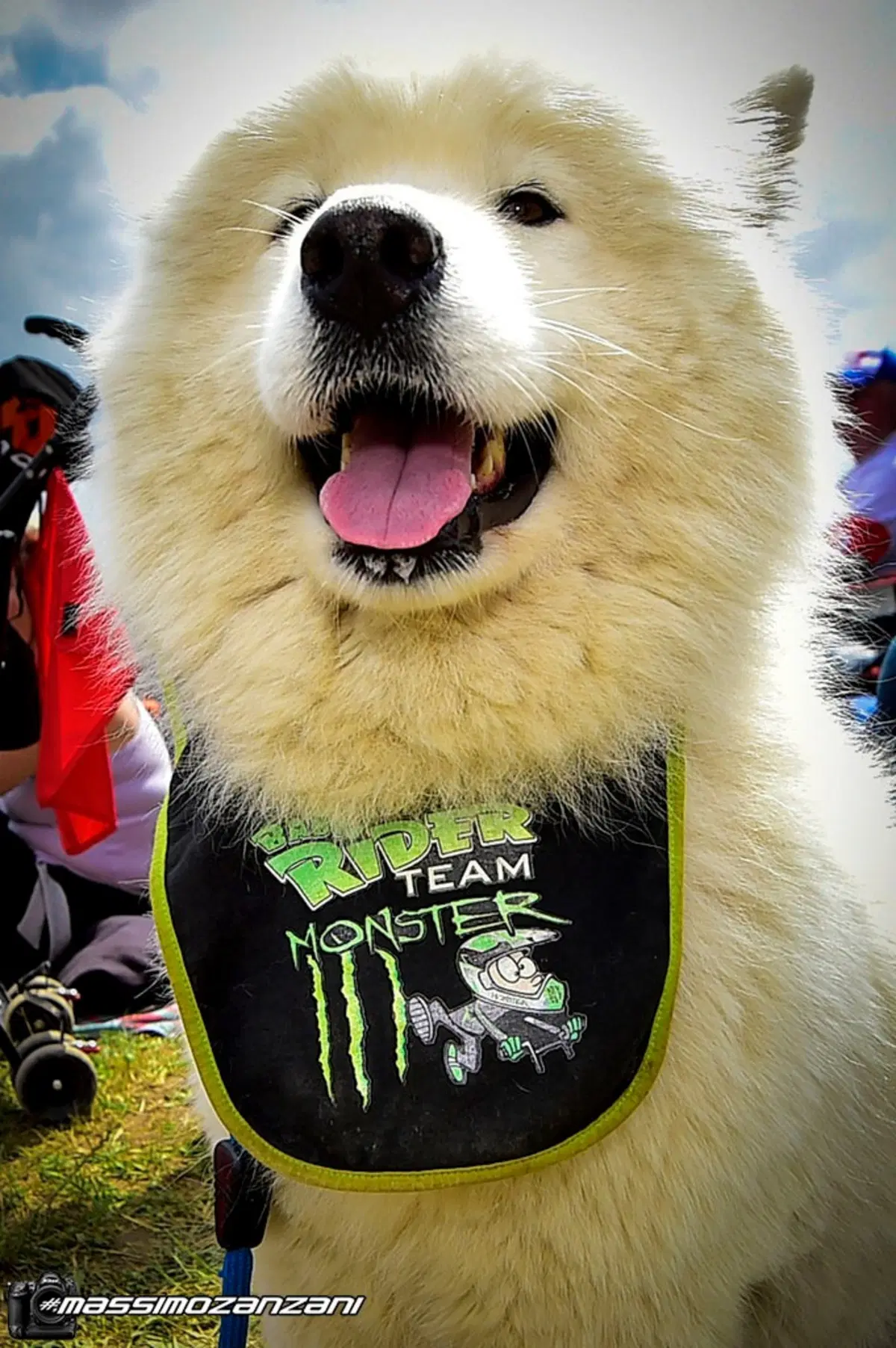 Gallery MX. Il GP di Francia 2019 (24)