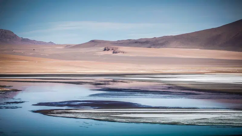 Dakar Rewind. Sud America. 6. Un Viaggio Indimenticabile Durato 10 Anni. Atacama