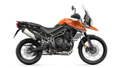Triumph 2019 ecco i nuovi colori per Bonneville, Tiger e le altre