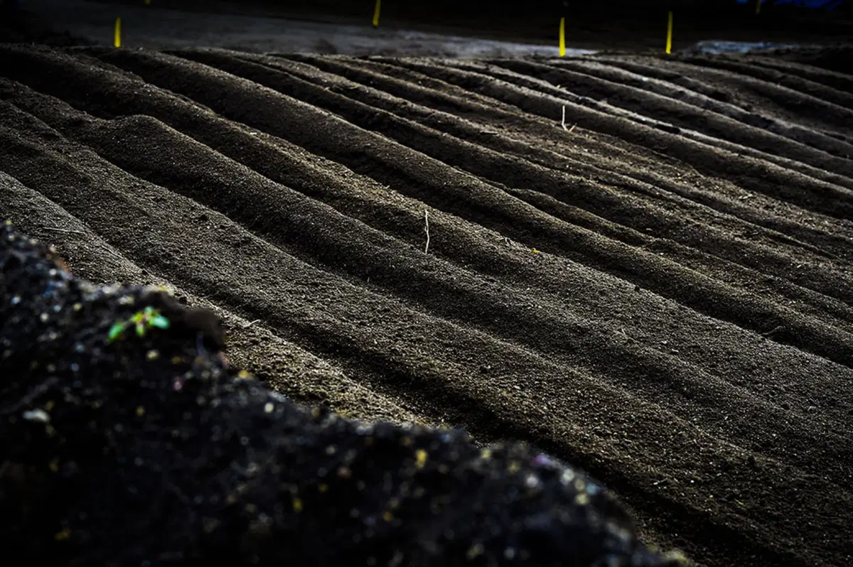 MXGP Argentina, le foto più belle (59)