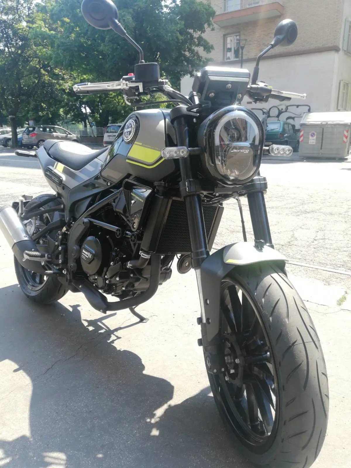 Benelli Leoncino 250 (2021 - 25) (4)