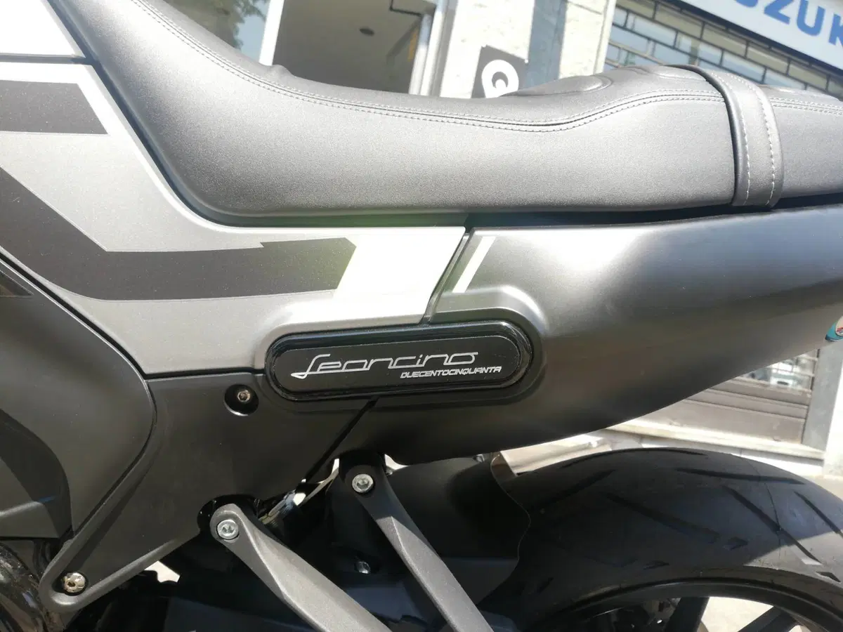 Benelli Leoncino 250 (2021 - 25) (8)
