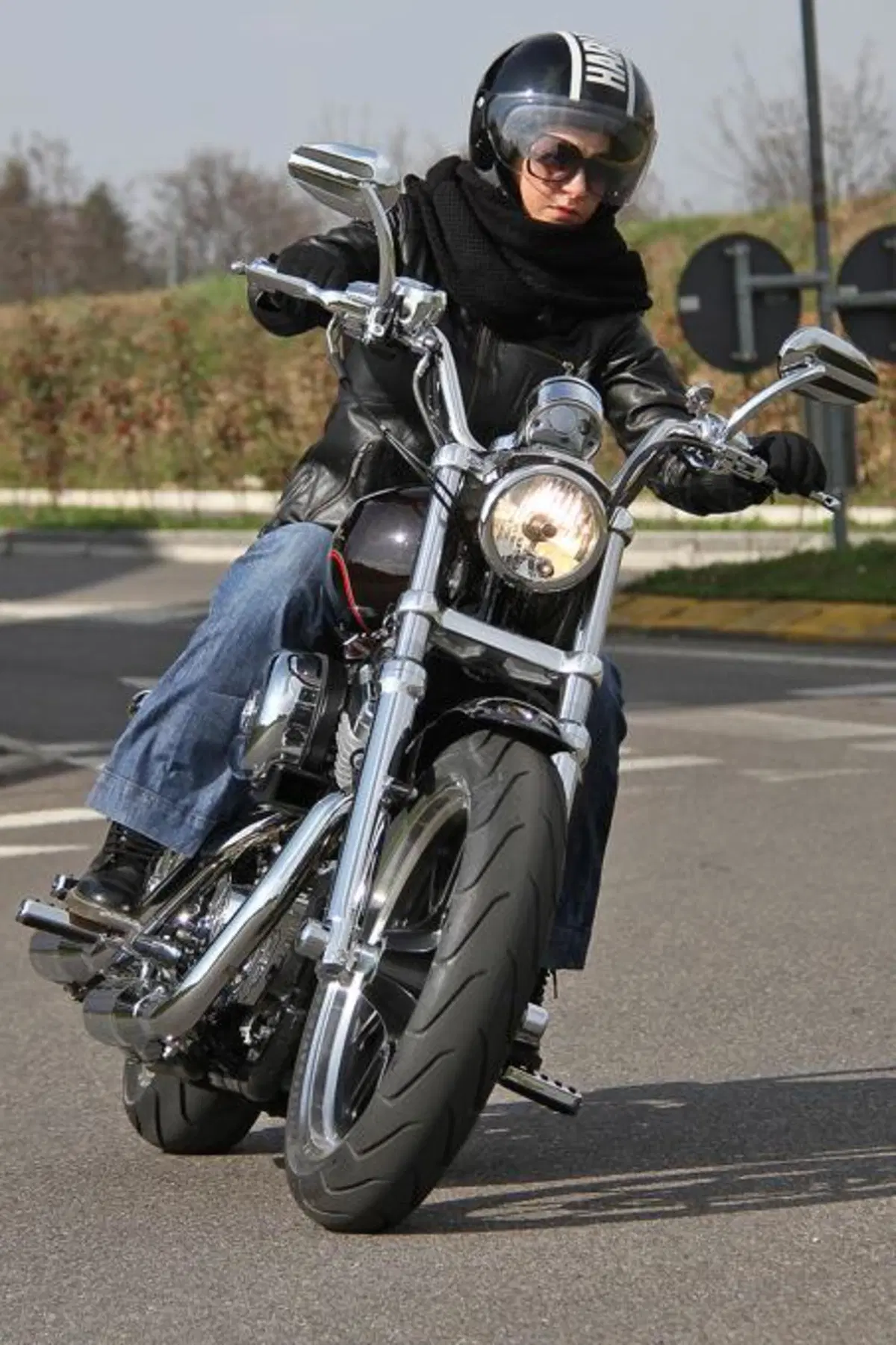 Harley-Davidson 883 Sportster Superlow  (3)
