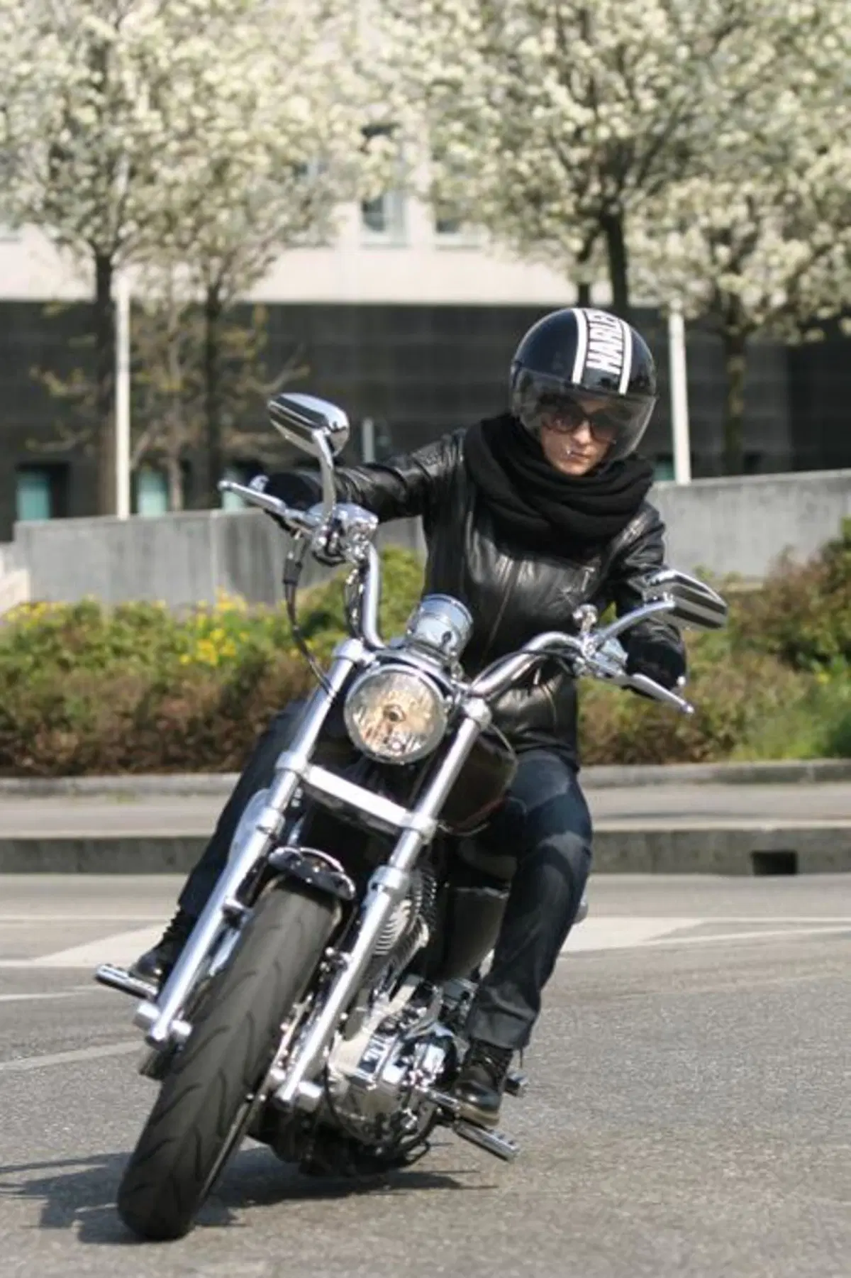 Harley-Davidson 883 Sportster Superlow  (5)