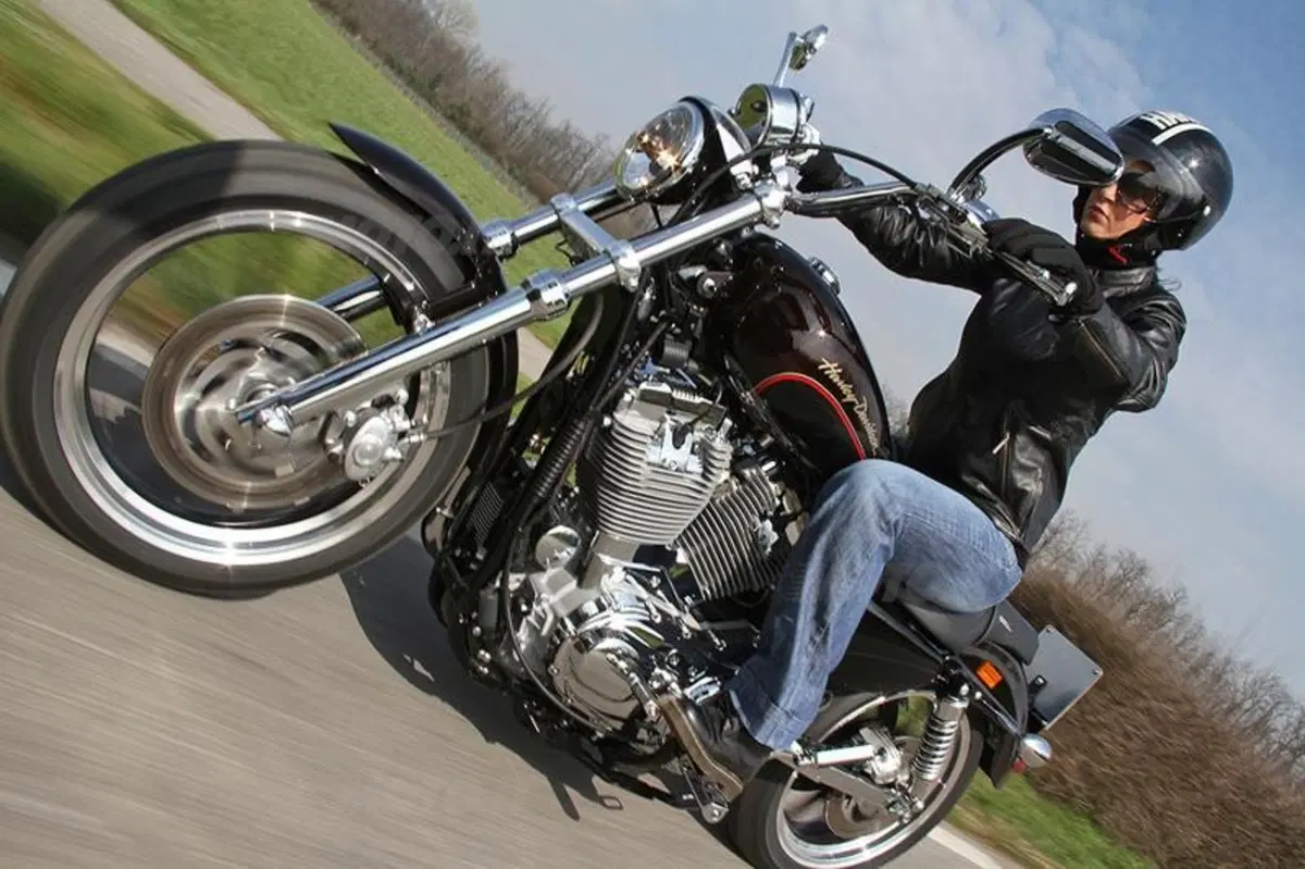 Harley-Davidson 883 Sportster Superlow  (11)
