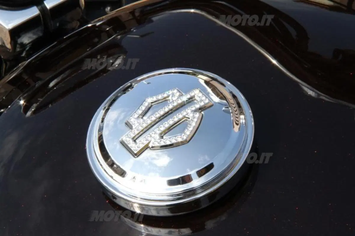 Harley-Davidson 883 Sportster Superlow  (30)