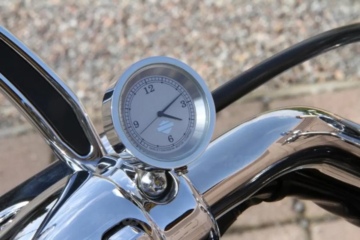 Harley-Davidson 883 Sportster Superlow  (31)
