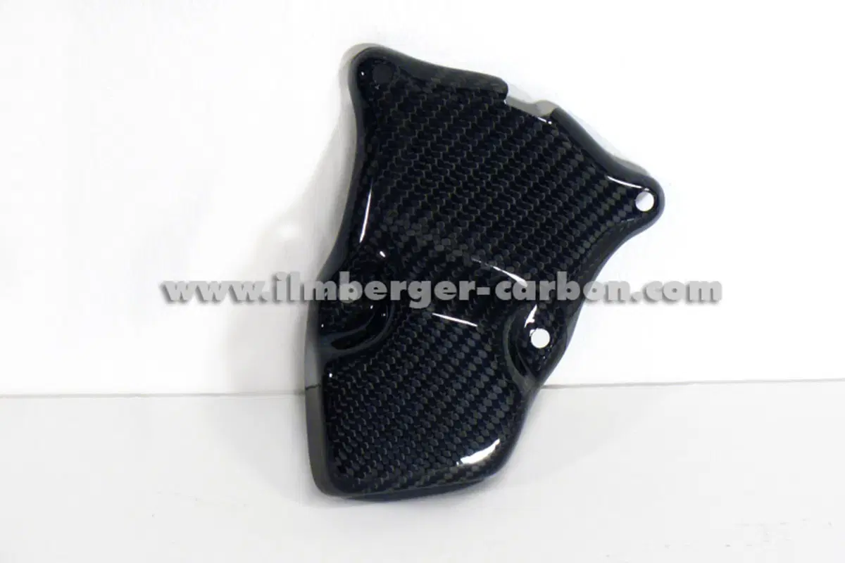 Motochepassione: parti Ilmberger Carbon per Triumph Speed Triple (5)