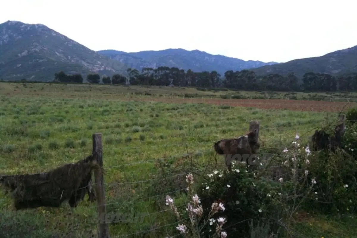 Viaggi: Pasqua in Corsica (5)