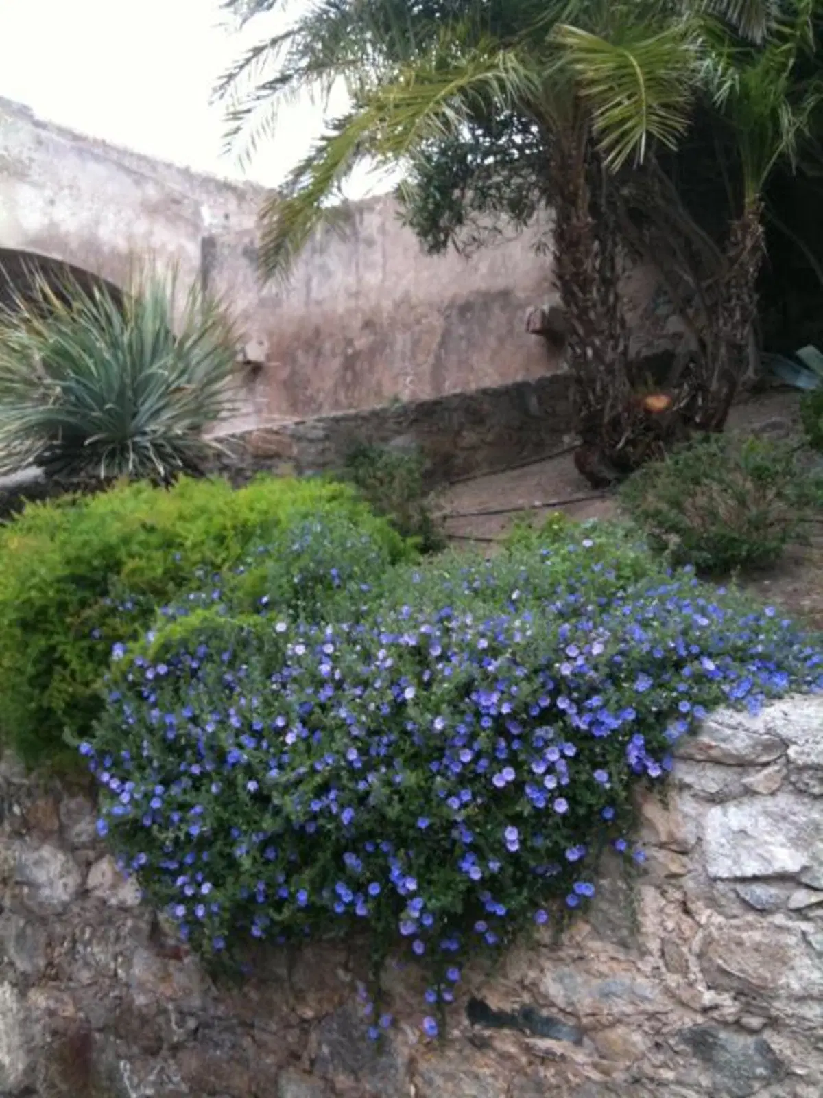 Viaggi: Pasqua in Corsica (13)