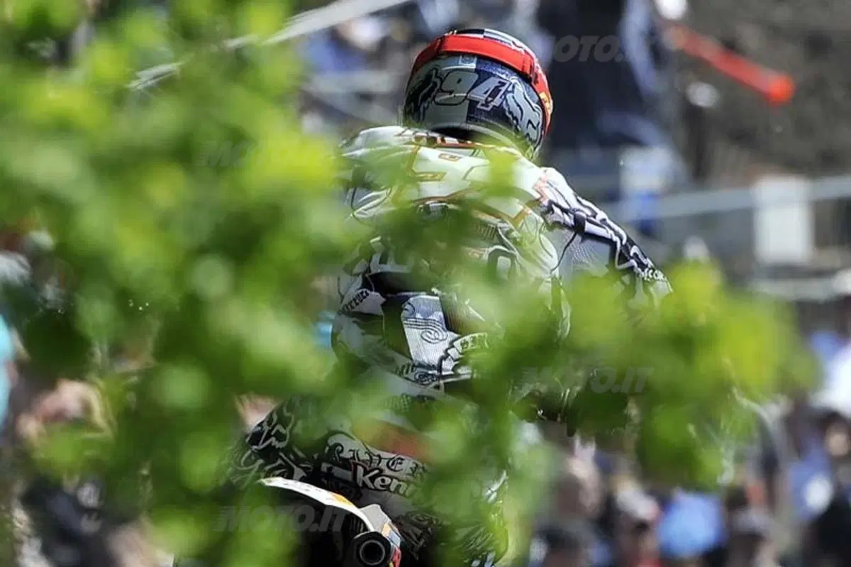 Le foto più belle del GP d'Olanda (38)