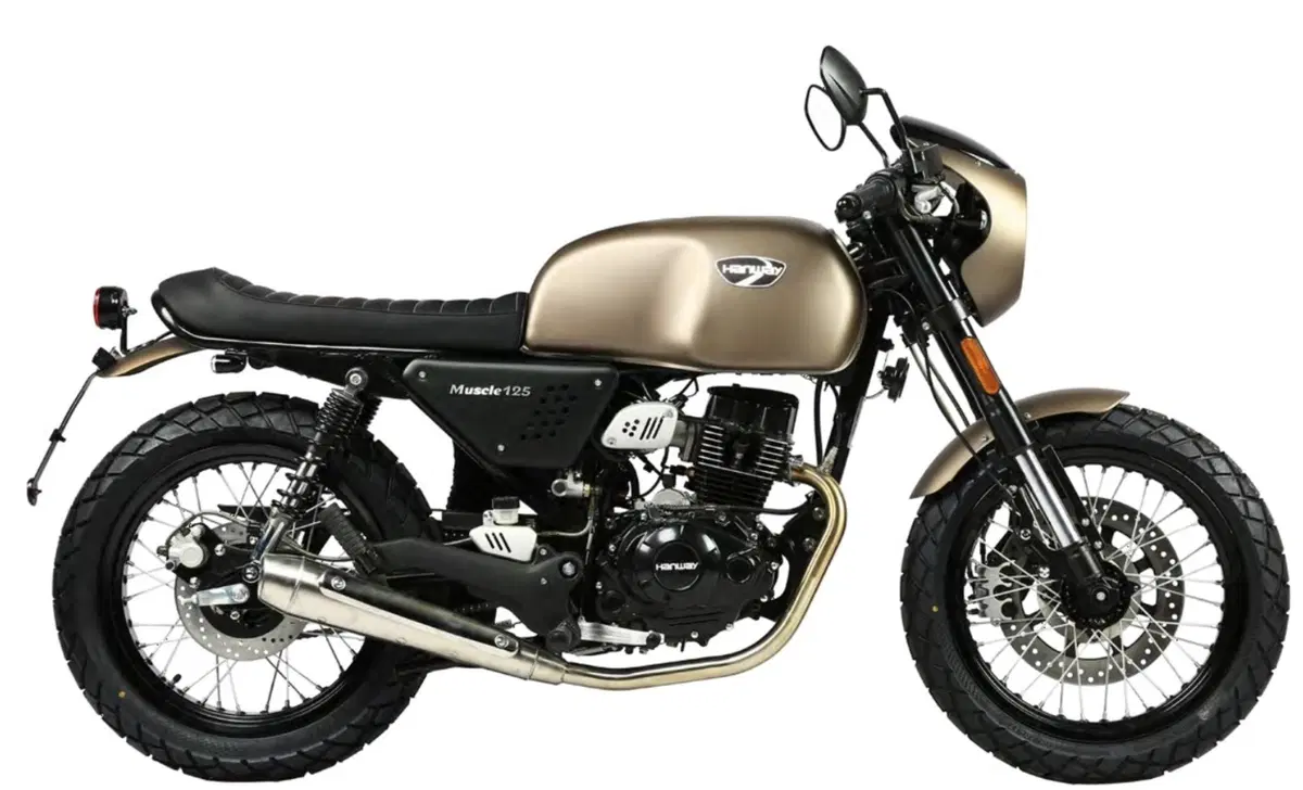 Hanway Muscle 125 Muscle 125 AC (2019 - 20) (2)