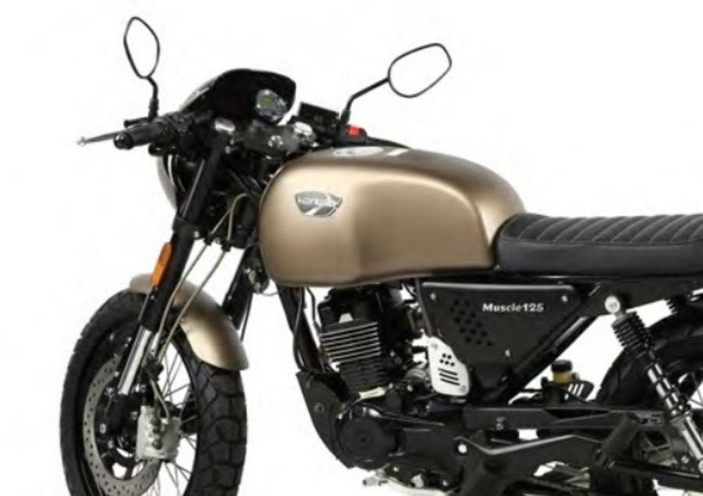 Hanway Muscle 125 AC (2019 - 20) (3)