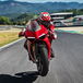 Ducati Panigale V4: tutto quello che c'è da sapere