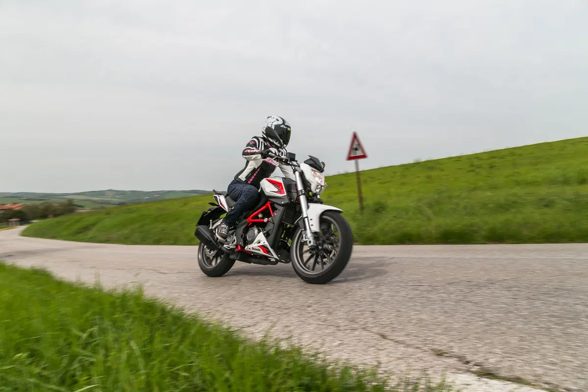 Benelli BN251 (4)