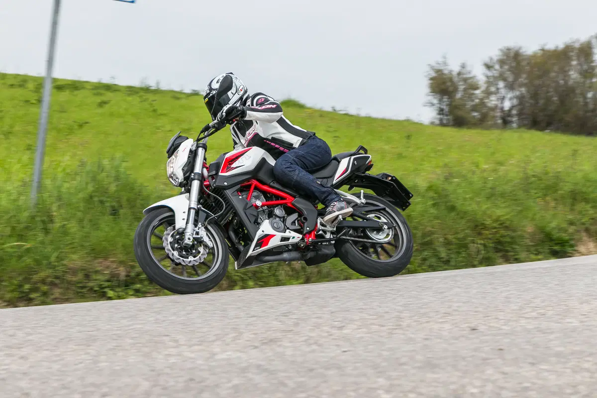Benelli BN251 (5)