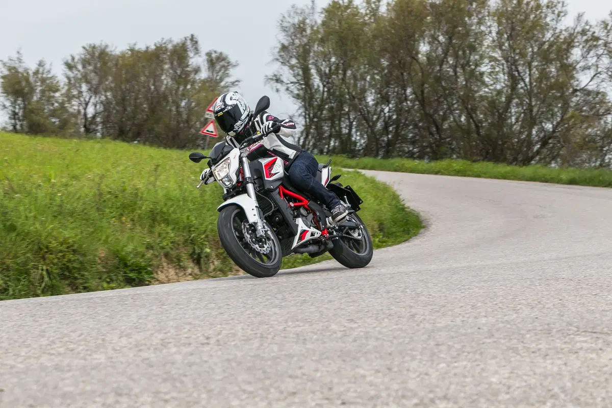 Benelli BN251 (6)
