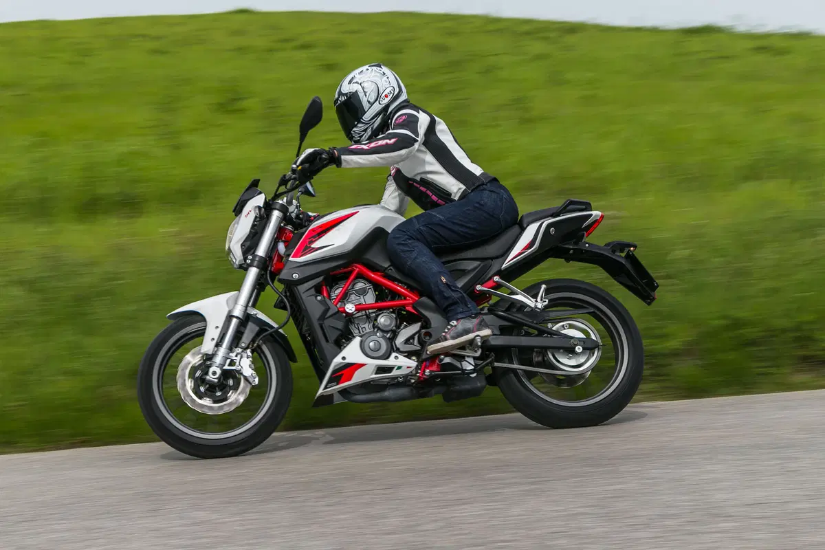 Benelli BN251 (9)