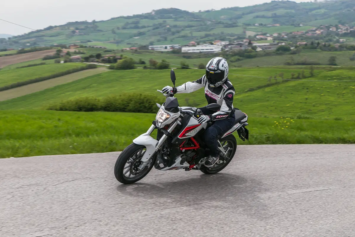 Benelli BN251 (3)