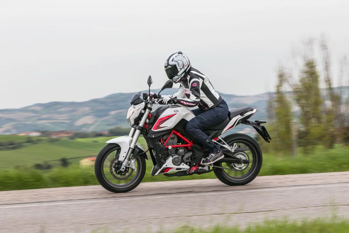Benelli BN251 (11)