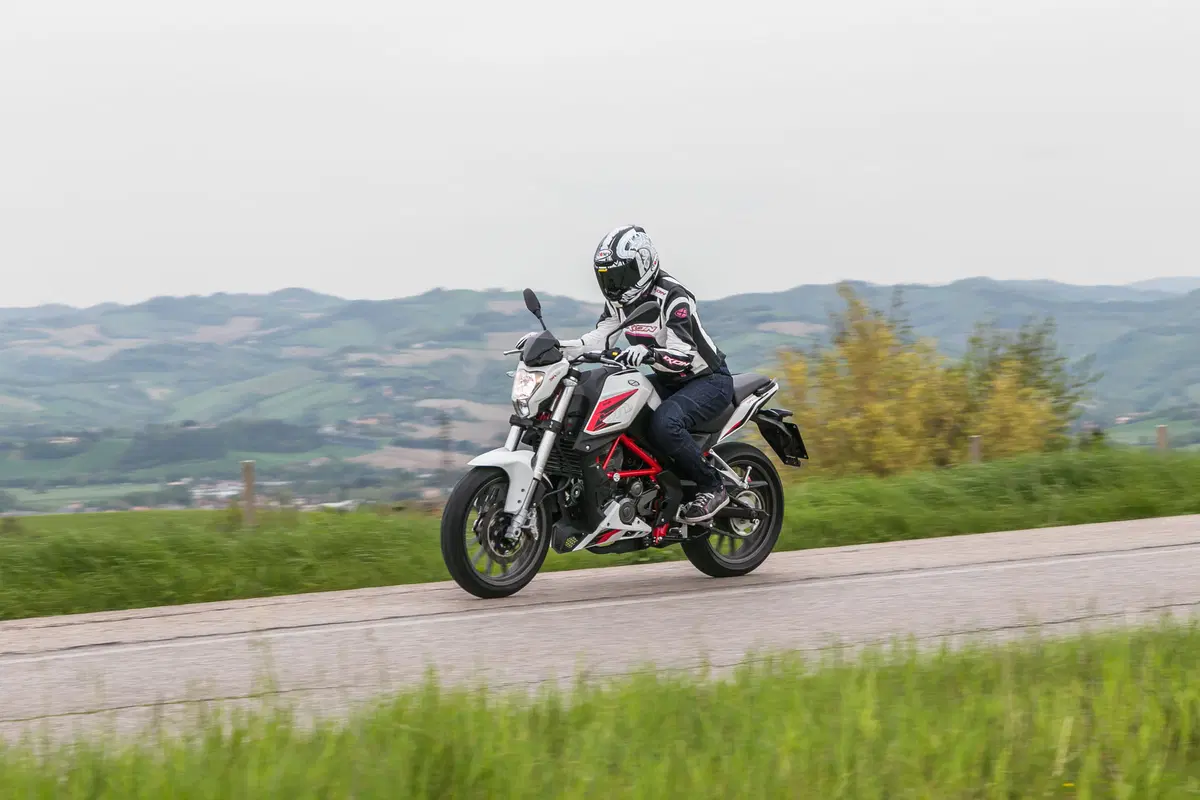 Benelli BN251 (12)