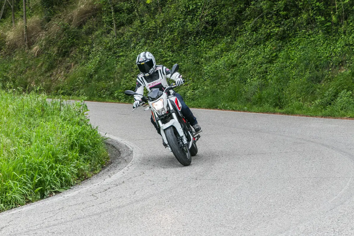 Benelli BN251 (17)